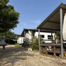 세느 | 아일랜드카라반 후기, 고양이 세느와 함께한 조용한 힐링 여행 (내돈내산)