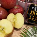 쭈니푸드 이미지