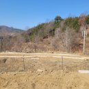 보라농장2 이미지