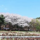 성호공원_성호기념관주변 이미지