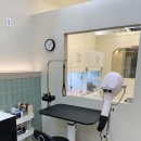 멍스럽개 이미지