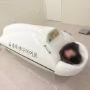 안양벤쳐텔 | 안양다이어트 운동없이 누워서 하는 솔루션다이어트 후기