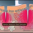 (주)아그네스 이미지