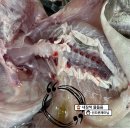 국물이 진심 끝내주는 자연산 생물 대구 무료손질해서 보내드립니다 이미지