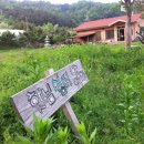 진진한의원 이미지