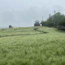 고창/광주 | 1박2일 광주