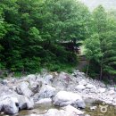 국립미천골자연휴양림 이미지