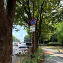 아람백숙 | 아이랑등산 경희대학교국제캠퍼스 매미산 아람산 등반 후기 주말산책 기흥저수지산책로 아직은 힘든 7살...