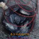 독도바다낚시터 이미지