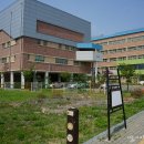 김지남 비갈 및 묘 이미지