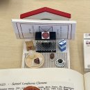 [광주카페] 본촌동 분위기 좋은 커피&amp;휘낭시에 맛집 레터커피하우스 후기 :) 💌☕️🏡