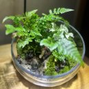 아쿠아플랜트디자인 이미지