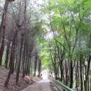 가리산자연휴양림 이미지