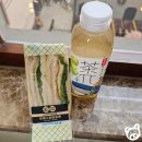여행] 4박 5일 중국 베이징 여행🚌 : 2일차(써니투어/투어후기/고북수진(古北水镇)/사마대장성(司马台长...