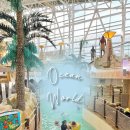 오션 | 오션월드 겨울 후기 | 종일권으로 즐긴 실내 파도풀, 슬라이드 솔직리뷰