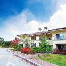 알프스퍼블릭 이미지