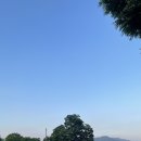 경기도 양평군 정배초등학교 | [여행기록] 양평 서종 1박2일, 반려견과 걷는 강변 여행