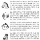 미리보는 내일의 은세(9월9일) 이미지