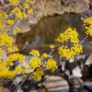 달전시목지 이미지