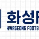 수원삼성블루윙즈