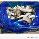 예덴농원 이미지