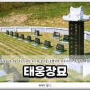 태웅장묘 네이버블로그