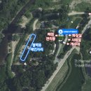 초평밤나무 이미지