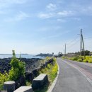 주식회사 제주마음렌트카 | 제주도렌트카 할인 추천 카모아 제주 전기차 렌트 EV6