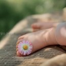 노블레지던스 - 동작구 사당로 228 | 노블레지던스 강남점 가봤더니 이렇게 괜찮을 줄이야