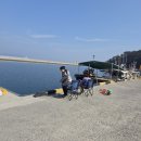 남해-1 | 남해낚시펜션 찾는다면, 남해프로방스에서 보낸 1박2일 솔직후기