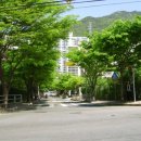 대천리초등학교 이미지