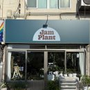 짱다육 | 갈마동 꽃집 잼플랜트 후기 다육이와 화분이 가득한 감성 플랜트 샵