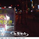 미인촌 이미지