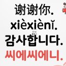 쩐호우츠 네이버블로그