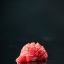 골드 참치 이미지