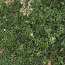 멍데이 살롱 | 10월 2일-10월 3일(웨스틴조선부산 디럭스 파크 킹 코너룸, 셔블, 동백섬 산책)