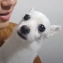 청산-1 이미지