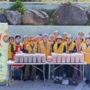 괴정2동-4 이미지