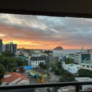 빨간모자달팽이 이미지