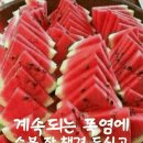 덥 Daum카페