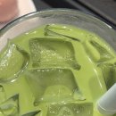 리치워터 | 스벅 신메뉴 코코말차 코코넛워터 리치베이스 후기