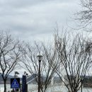 신풍리교차로 2-2 | 논산 여행 | 탑정호 출렁다리 솔직후기_주차, 운영시간, 입장료