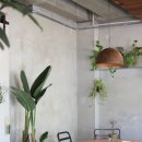 카페모니카 이미지