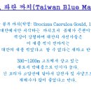 행운옥 이미지