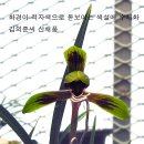 수채색설화/김외준 이미지