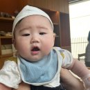 네발총총 | [공지] 5개월 4주차 (168일) 아기 발달 배밀이 네발기기 육아기록