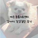데일리 동물의료센터 | [내돈내산] 강남 예은 동물병원 | 예은 동물의료센터 강아지 건강검진 후기