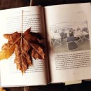 문해지도사 이미지