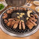 썬하우스 | 25. 3/23 - 25 제주 여행기