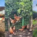 케이비농장 이미지